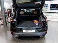 PORSCHE CAYENNE 2025/9 - 8