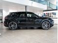 PORSCHE CAYENNE 2025/9 - 7