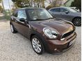 MINI PACEMAN 2014/7 - 2