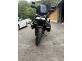 HARLEY-DAVIDSON PAN AMERICA 2021/12 - 1