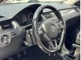SKODA RAPID 2015/4 - 10