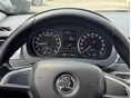 SKODA RAPID 2015/4 - 26