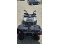 LINHAI 300 4X4 2026 - 5