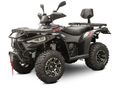 LINHAI 300 4X4 2026 - 9