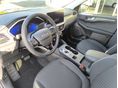 FORD KUGA 2025 - 11