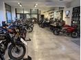 TRIUMPH DAYTONA 2025/11 - 12