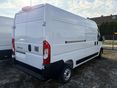 FIAT DUCATO 2025/9 - 3