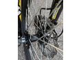 SUR-RON ULTRA BEE 2025/2 - 4