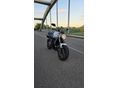 YAMAHA FZ6-N S2
