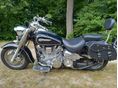 YAMAHA XV 1600 WILD STAR 1999 - 5