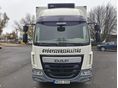 DAF 2014/5 - 2