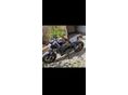 DUCATI MONSTER 1200 2016/8 - 5