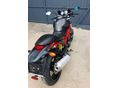 DUCATI MONSTER 695 2007/7 - 11