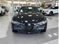 ALFA ROMEO GIULIA 2025 - 3