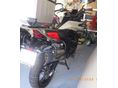 BENELLI TRK 702 X 2024/4 - 2