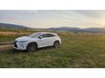 LEXUS RX 2021/8 - 2