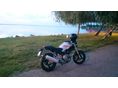 DUCATI MONSTER 600 Metallic
