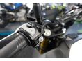 MORBIDELLI 2026 - 8