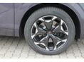 CUPRA TERRAMAR 2025/5 - 5