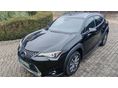 LEXUS UX 2021/7 - 6