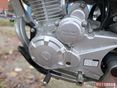 BARTON MZK250 2020 - 3