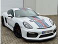 PORSCHE CAYMAN 2015/3 - 3