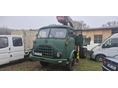 STEYR 1980 - 2