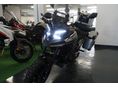 MORBIDELLI T1002V 2026 - 11