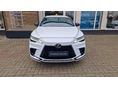 LEXUS RX 2024/6 - 2