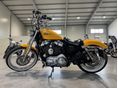 HARLEY-DAVIDSON SPORTSTER 2013/1 - 5