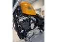HARLEY-DAVIDSON SPORTSTER 2013/1 - 8