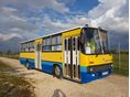 IKARUS 260.00