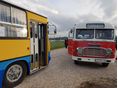 IKARUS 1980/3 - 7