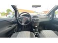 FIAT PUNTO 2018/6 - 11