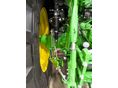 JOHN DEERE 2025 - 27