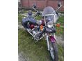YAMAHA XV 250 (VIRAGO) 1996/6 - 4