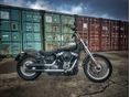 HARLEY-DAVIDSON SOFTAIL FXST Softail Standard