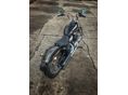 HARLEY-DAVIDSON SOFTAIL 2020/6 - 4