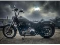 HARLEY-DAVIDSON SOFTAIL 2020/6 - 5
