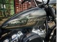 HARLEY-DAVIDSON SOFTAIL 2020/6 - 9