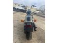 HARLEY-DAVIDSON SOFTAIL 2020/6 - 8