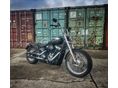 HARLEY-DAVIDSON SOFTAIL 2020/6 - 3