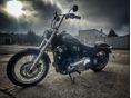 HARLEY-DAVIDSON SOFTAIL 2020/6 - 7