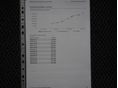 BMW 318 2007/1 - 19