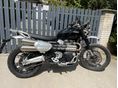 TRIUMPH SCRAMBLER 2021/6 - 2