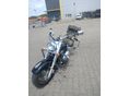 SUZUKI VL 1500 (INTRUDER) 2004/6 - 3