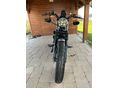 HARLEY-DAVIDSON SPORTSTER 883 IRON 2020/9 - 3