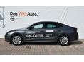 SKODA OCTAVIA 2025/8 - 2
