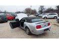 FORD MUSTANG 2005/4 - 28