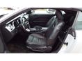 FORD MUSTANG 2005/4 - 8